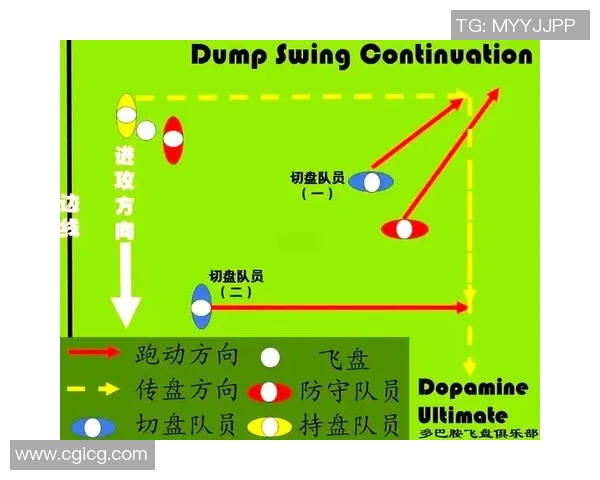 上海飞盘队包夹战术分析与表现评估的全面探讨 上海飞盘队包夹战术分析与表现评估的全面探讨
